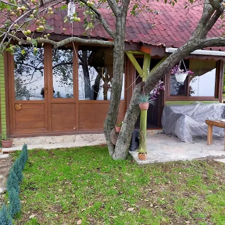 Vakantiehuis Greenlife Sapanca