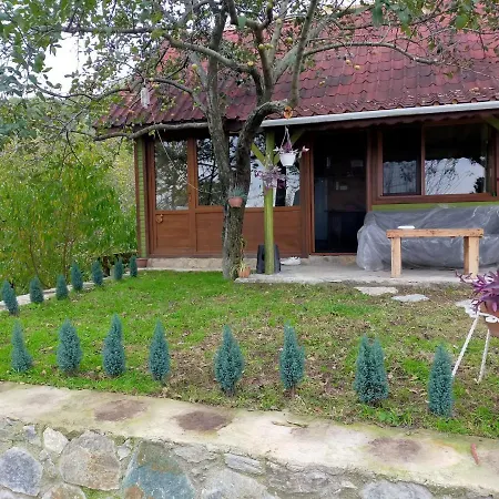 Greenlife Sapanca *